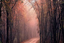 雷速体育电脑版官网-奥地利乒乓球队绝地反击日本队，马龙关键制胜，体育传奇再书新篇