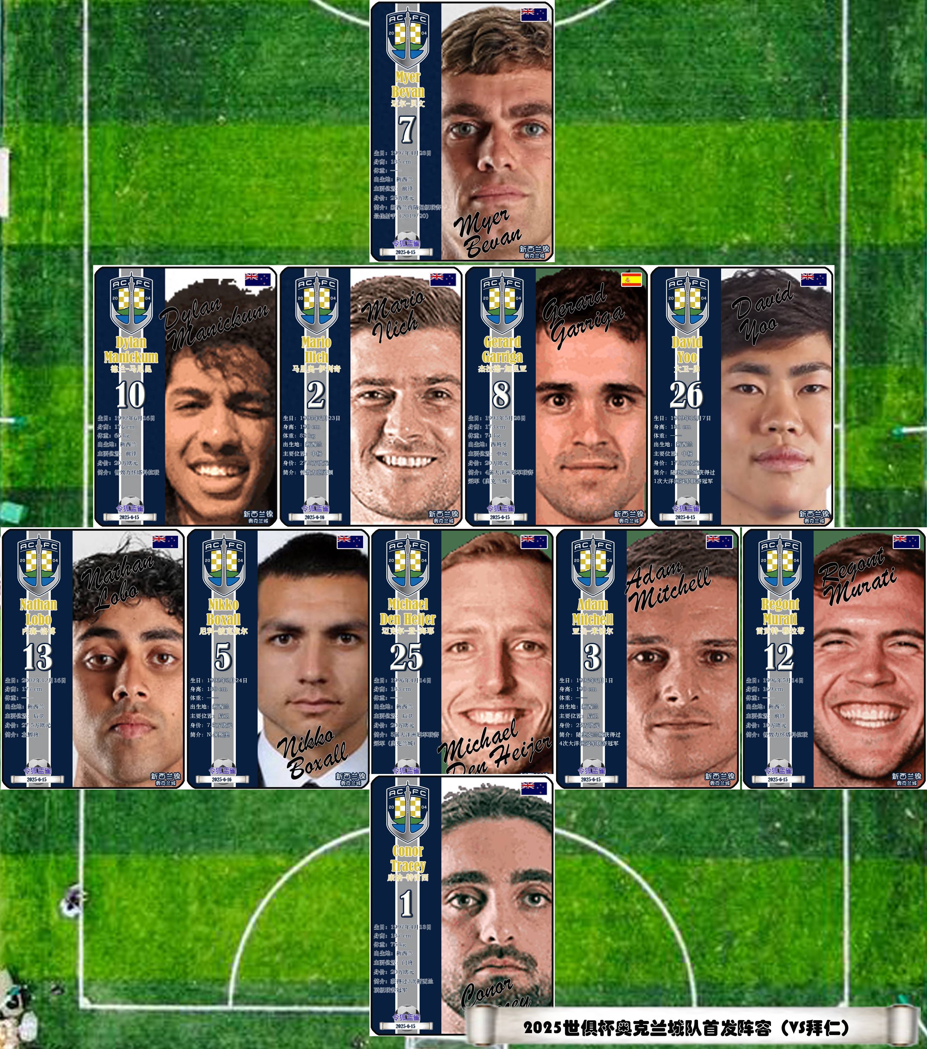 新西兰队实力强悍,成功杀入世界杯半决赛 新西兰队实力强悍,成功杀入世界杯半决赛