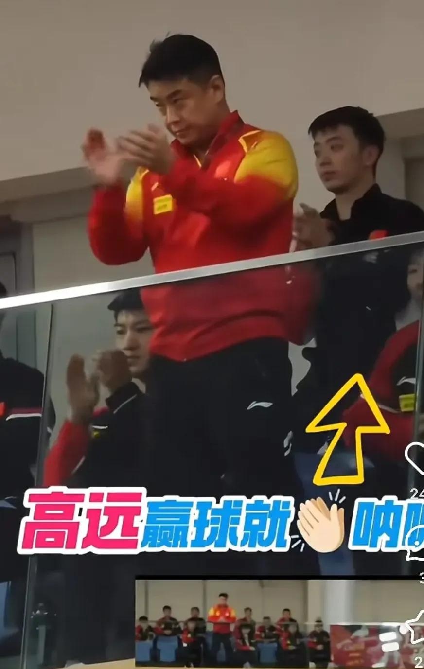 瑞典乒乓球队强势德国乒乓球队，王皓关键制胜的简单介绍